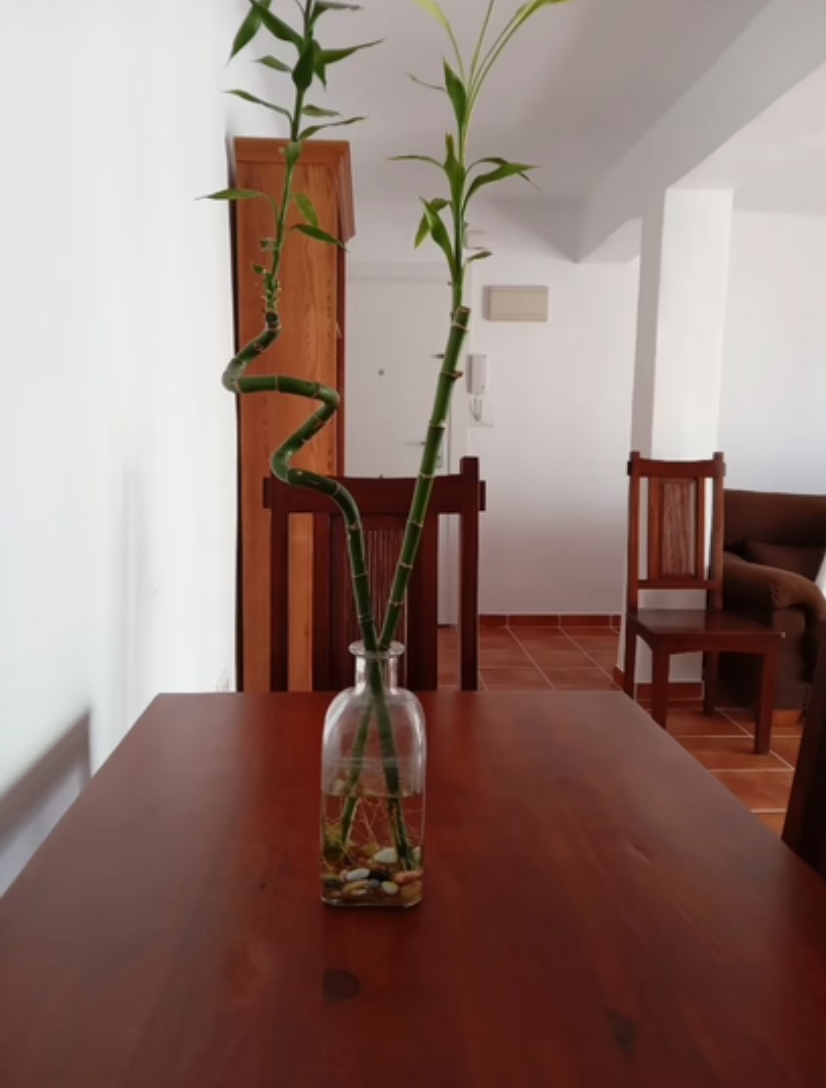 Flat te koop in Divina Pastora (Marbella)